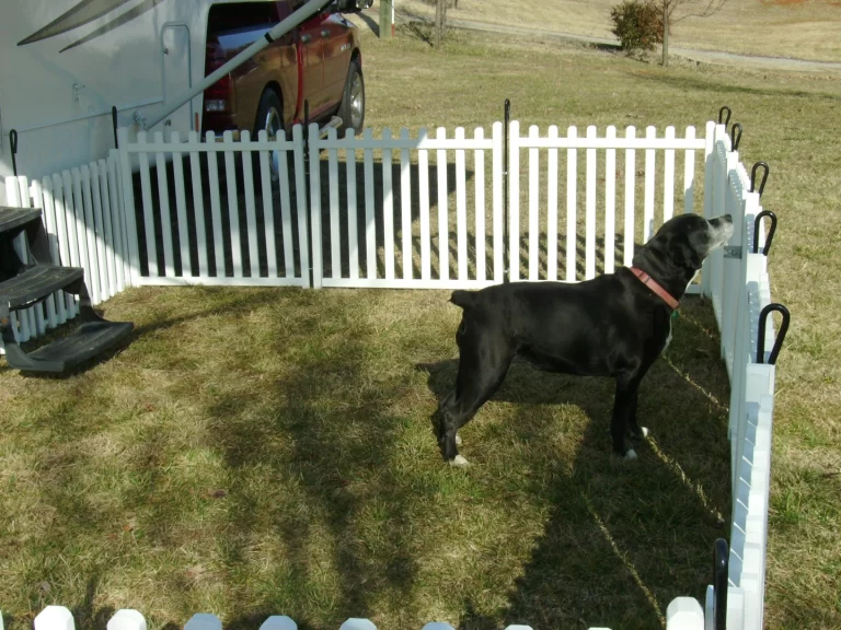 dog fence