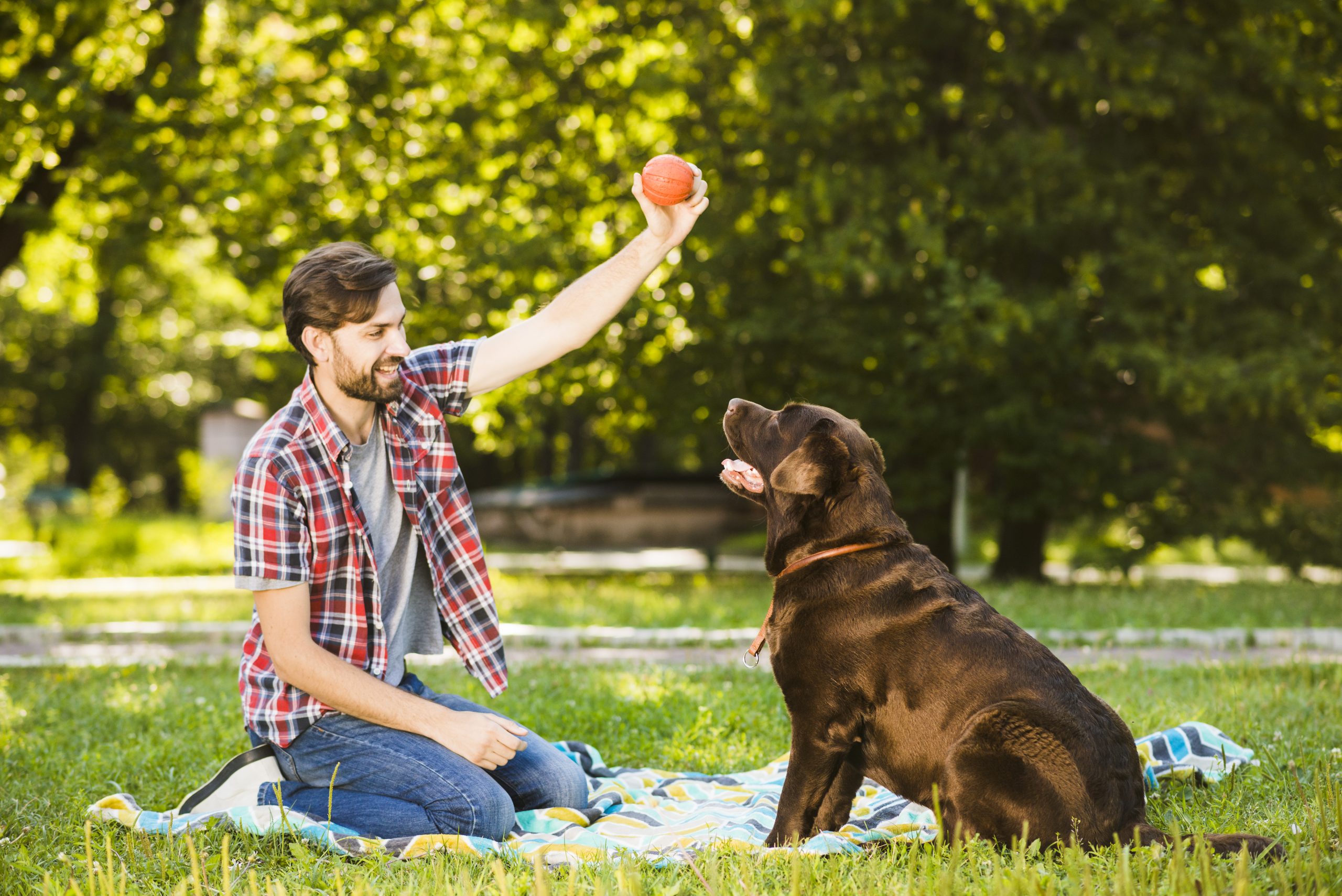 invisible Fence Can Improve Your Backyard!