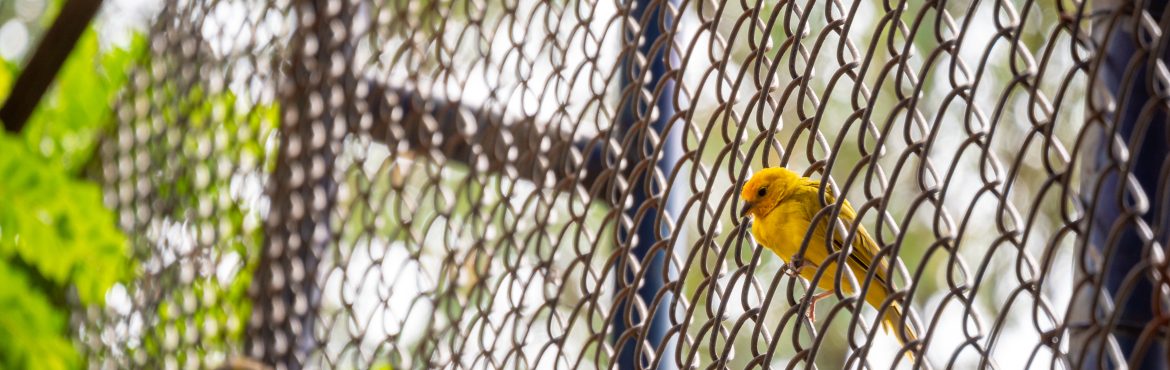 Tips On How to Repair Chain Link Fence