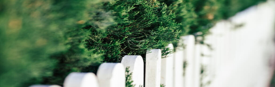 How Can We Match Fencing Styles With Your Landscape Aesthetic