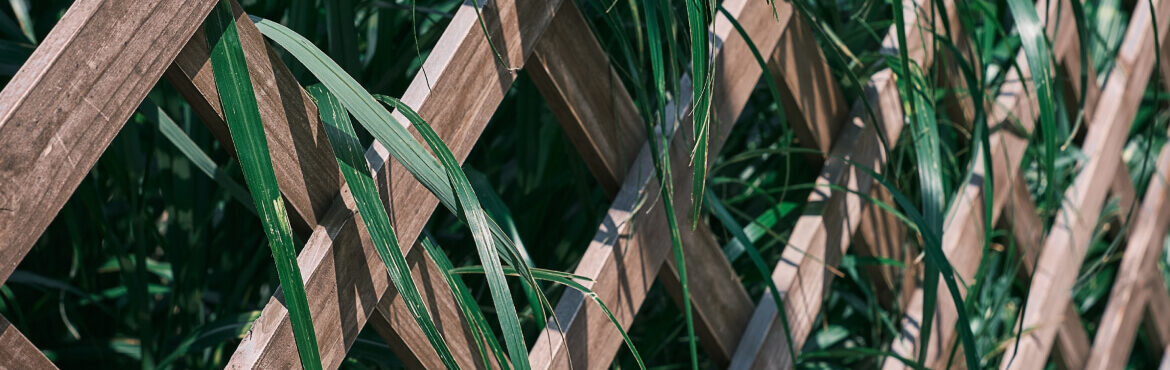 Eco-Friendly Fencing: Sustainable Options for Your Home