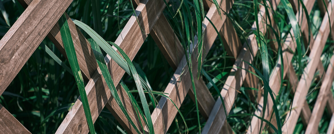 Eco-Friendly Fencing: Sustainable Options for Your Home